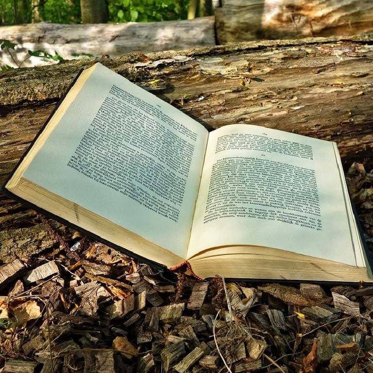 literatura tienda cabañeros