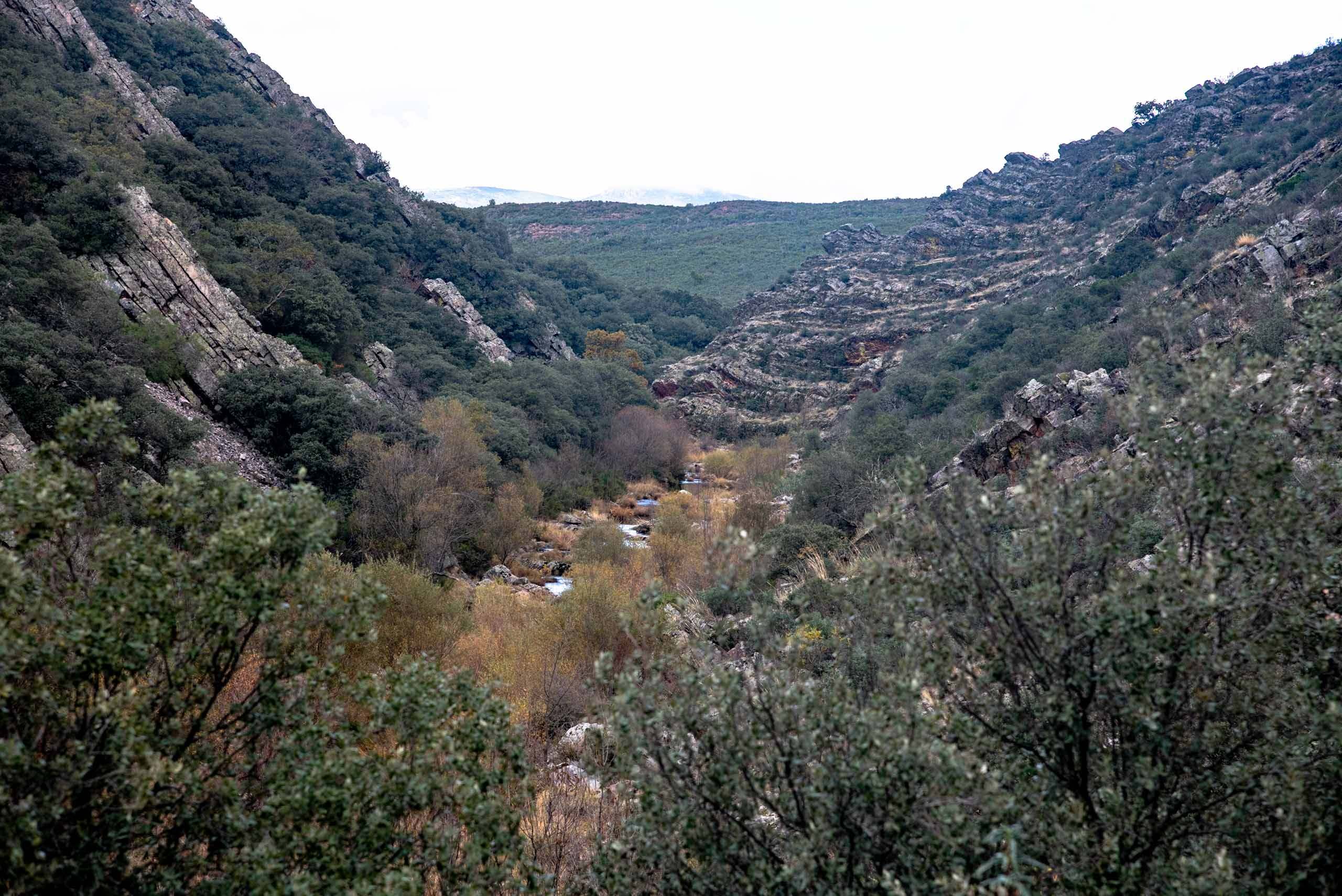 Boquerón del Estena