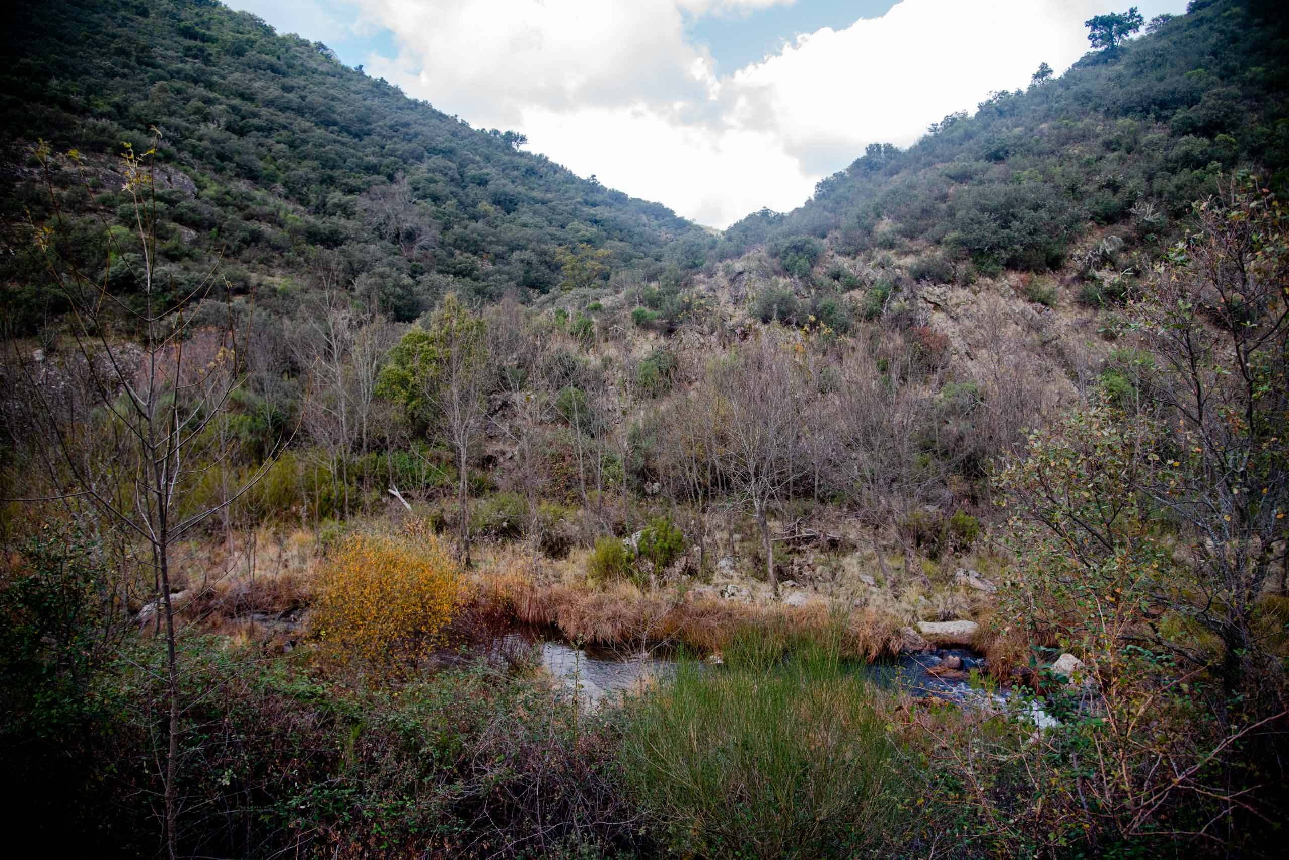 boqueron del estena