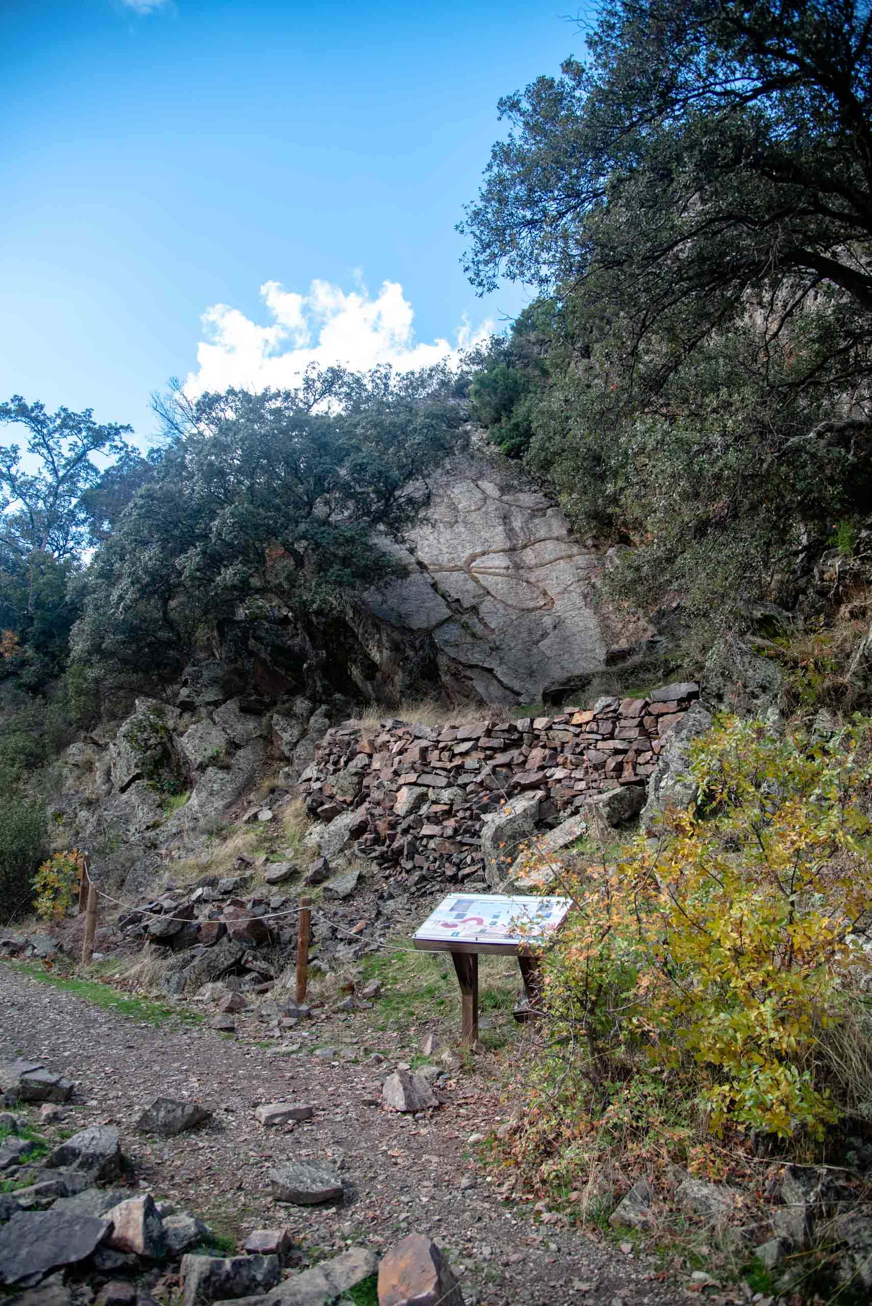 Boqueron estena gusano