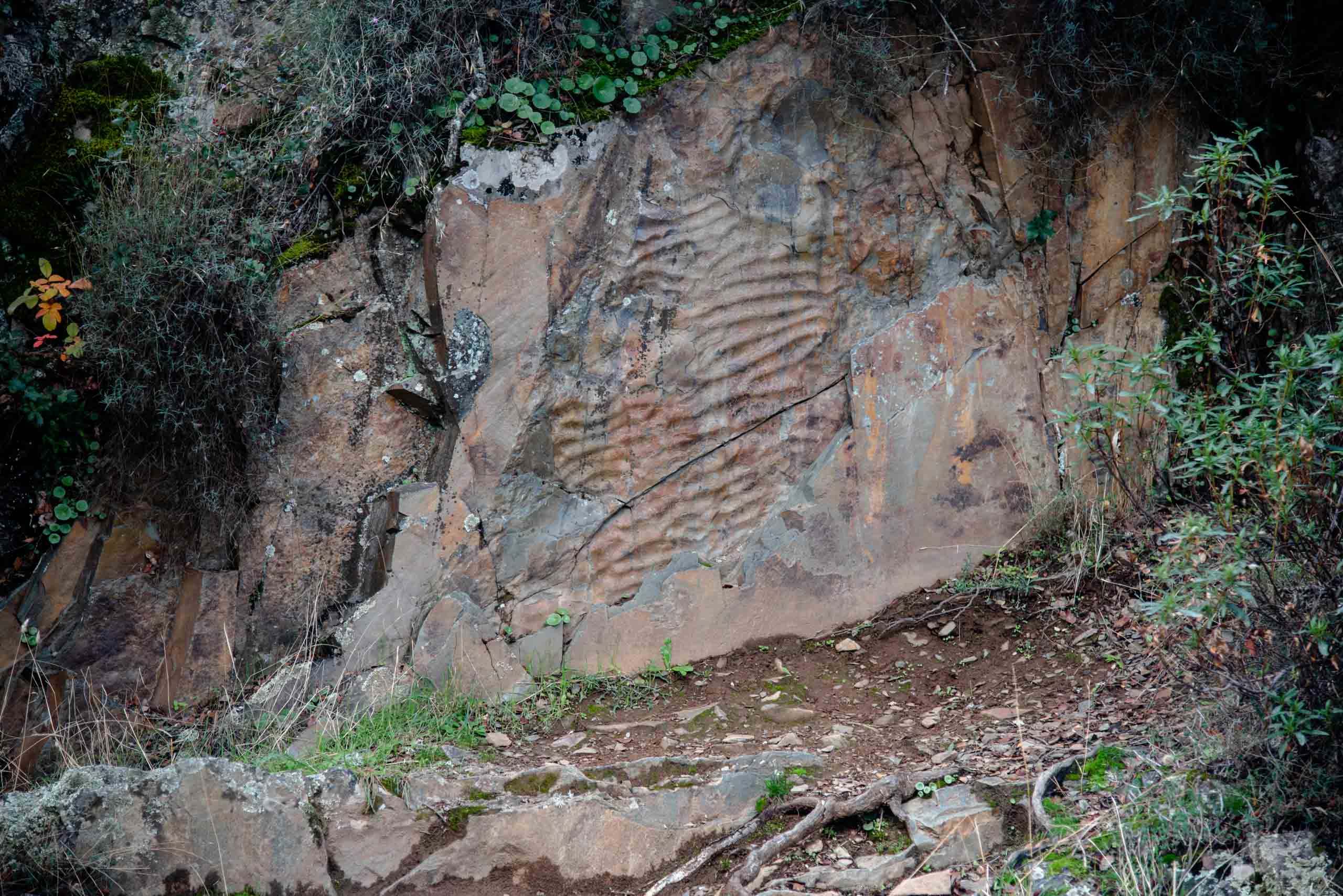 rizaduras del boquerón estena