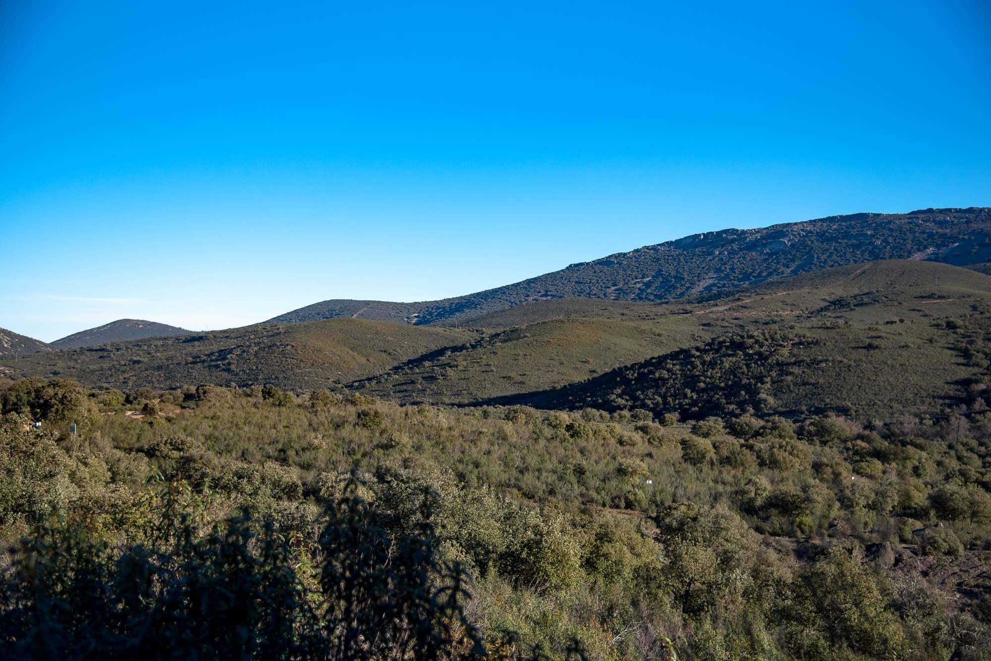Bosque mediterráneo en Navalucillos