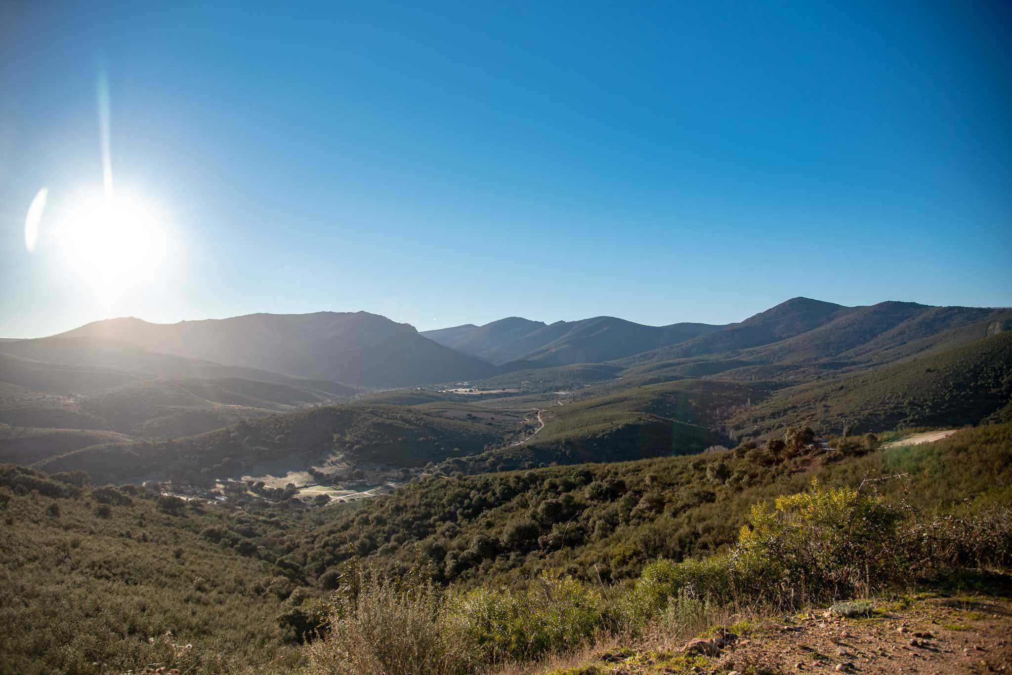 Camino rocigalgo el chorro