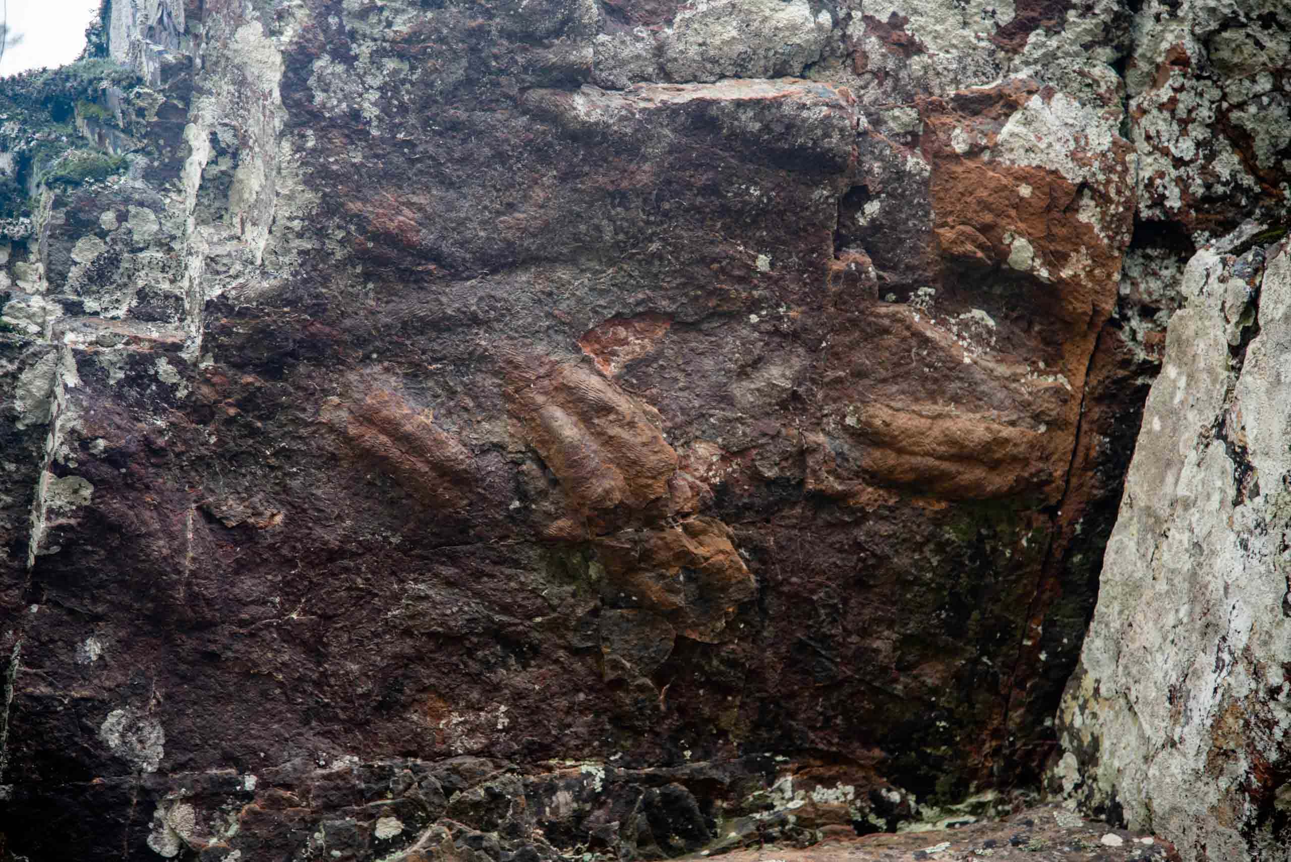 Cruziana en el Boquerón del Estena