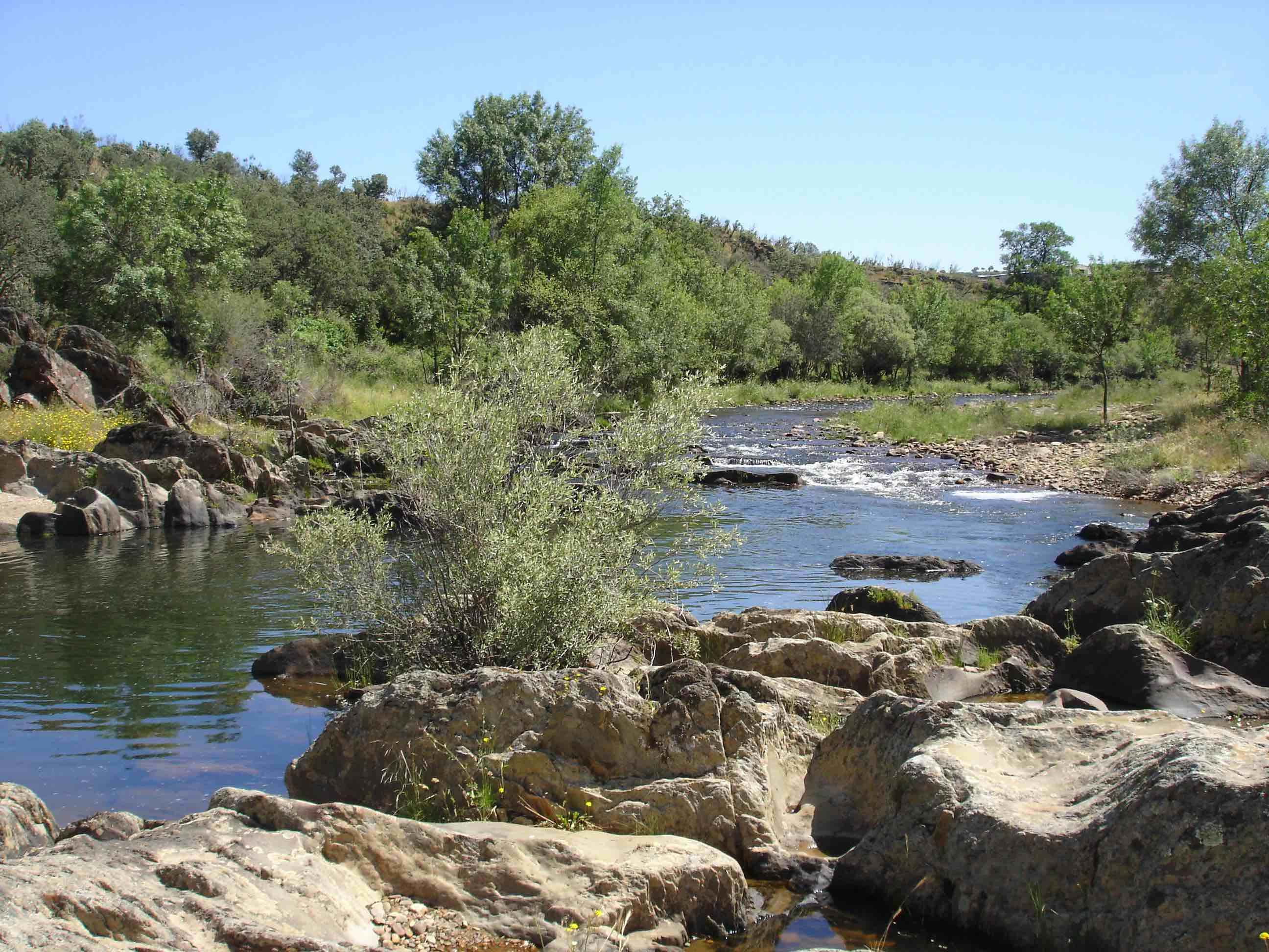 Río Estena, por Mariano Gómez Tierno.