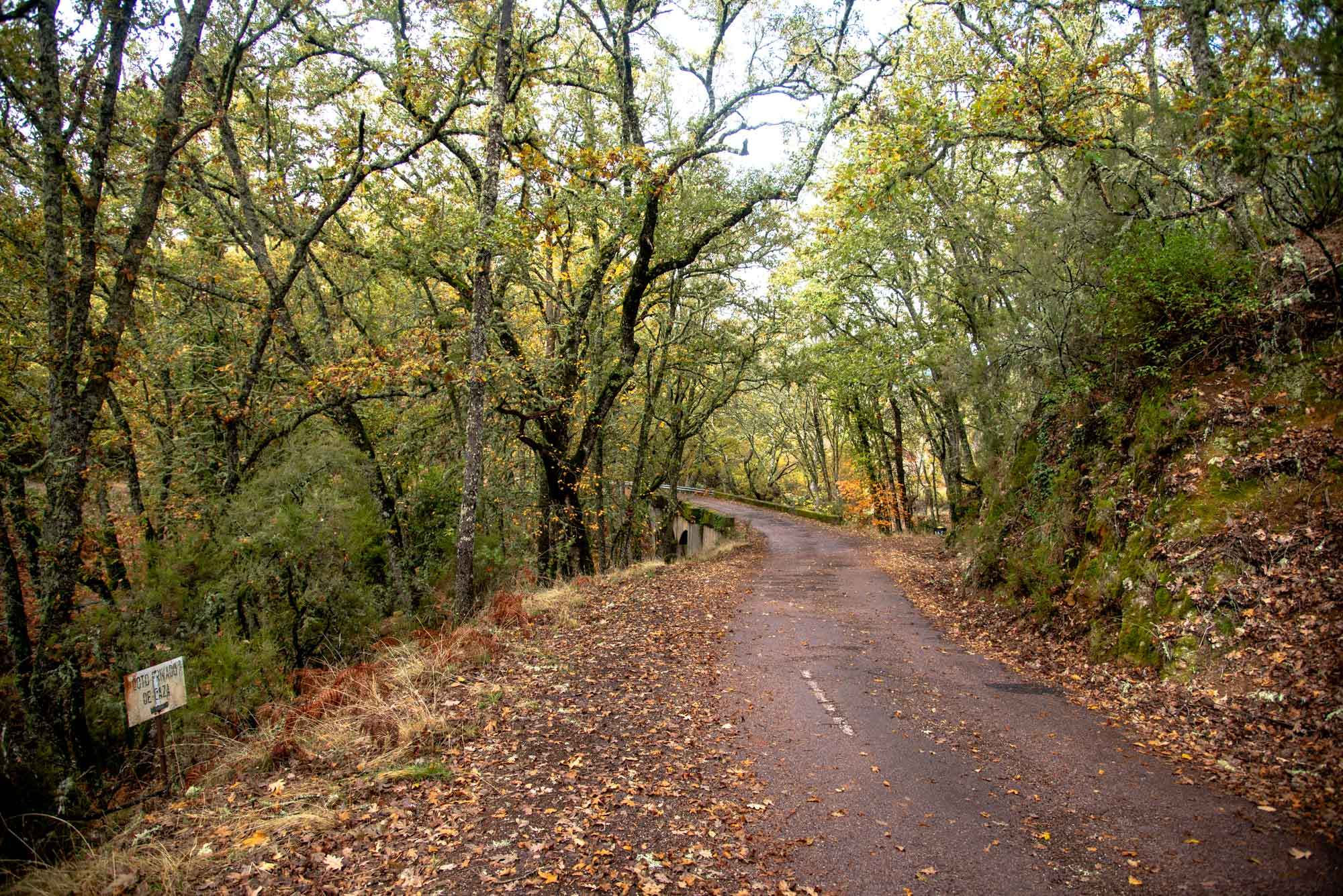Gargantilla carretera rebollar