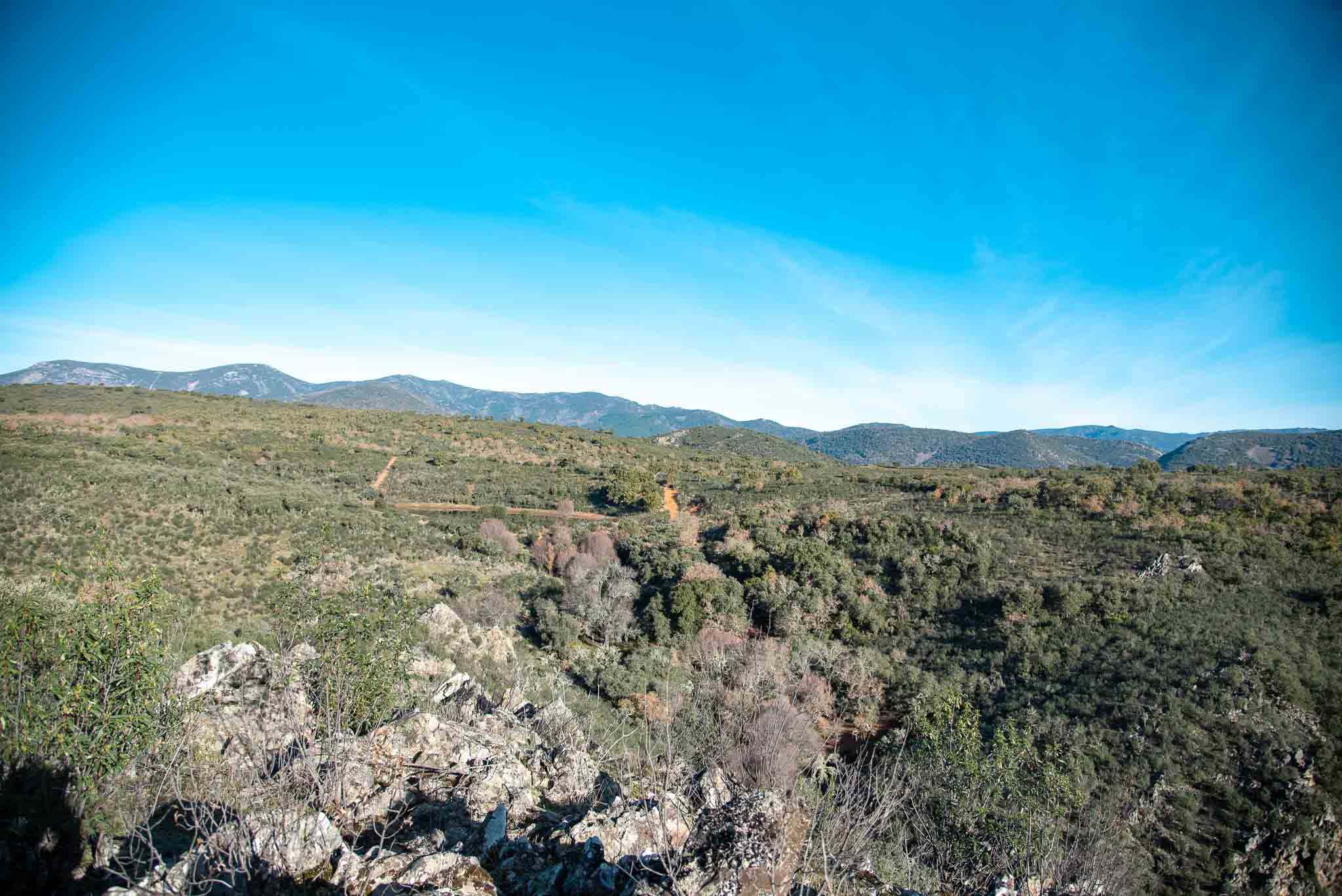 Gargantilla panoramica