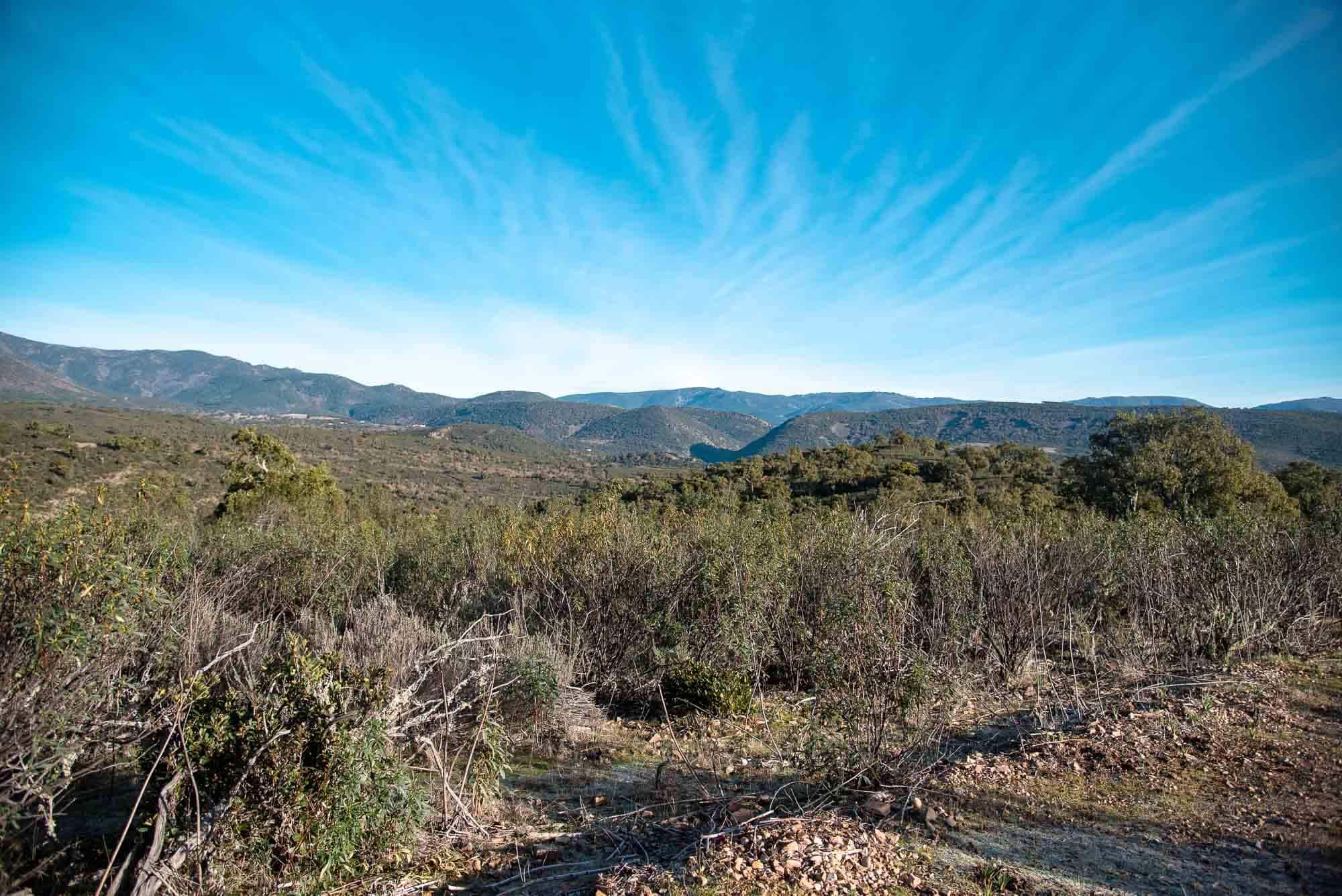Gargantilla panoramica