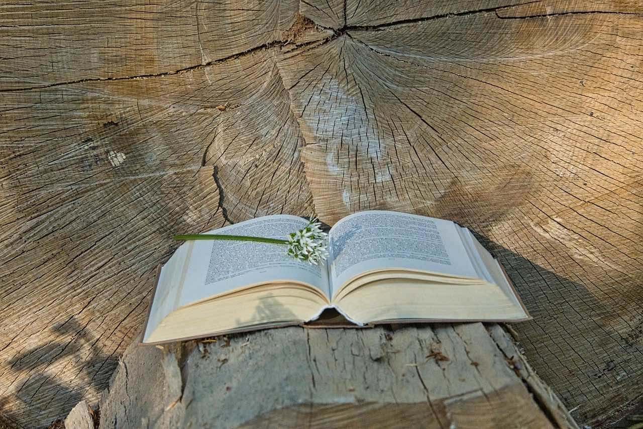 Literatura