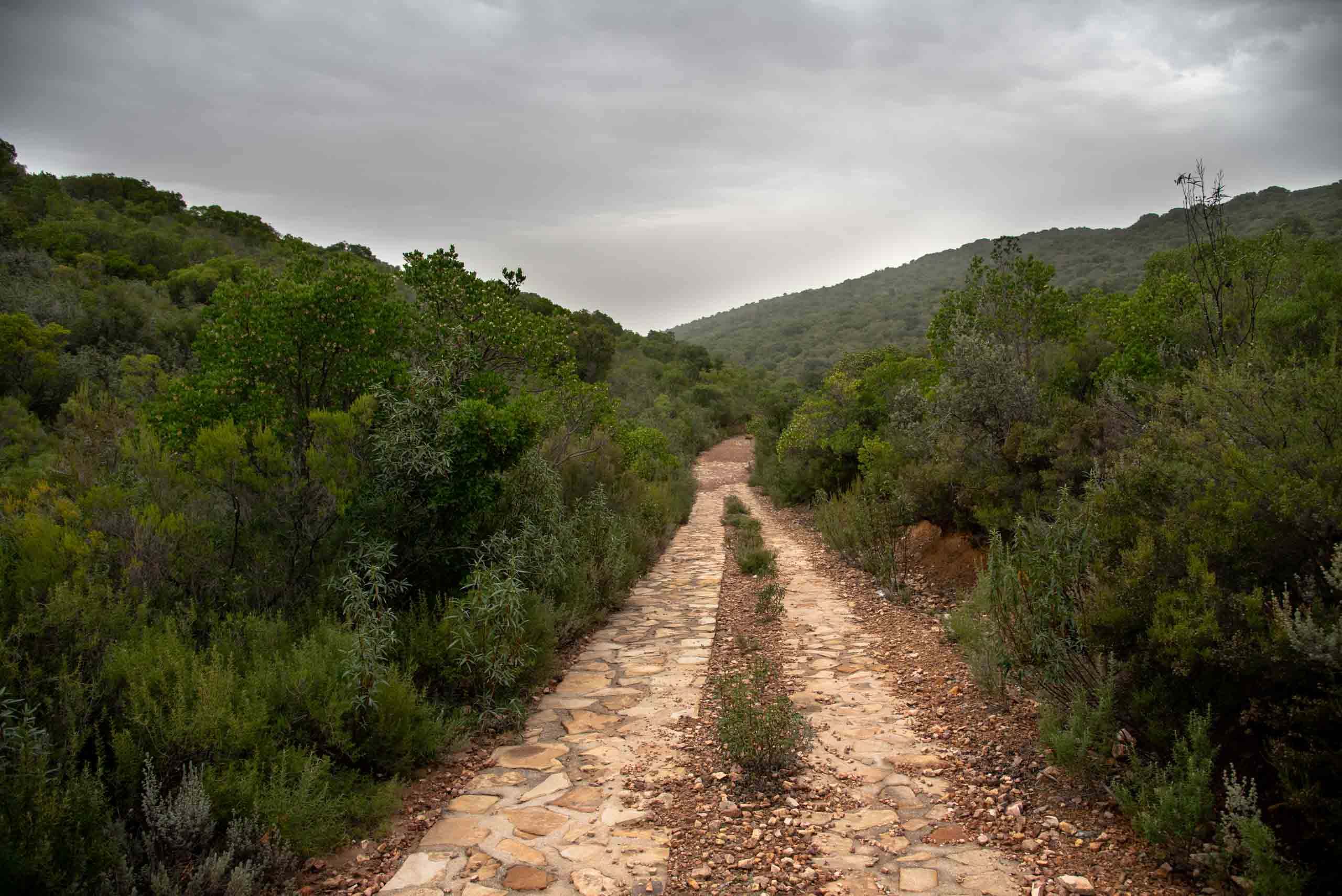 Sendero del valle de la Viñuela