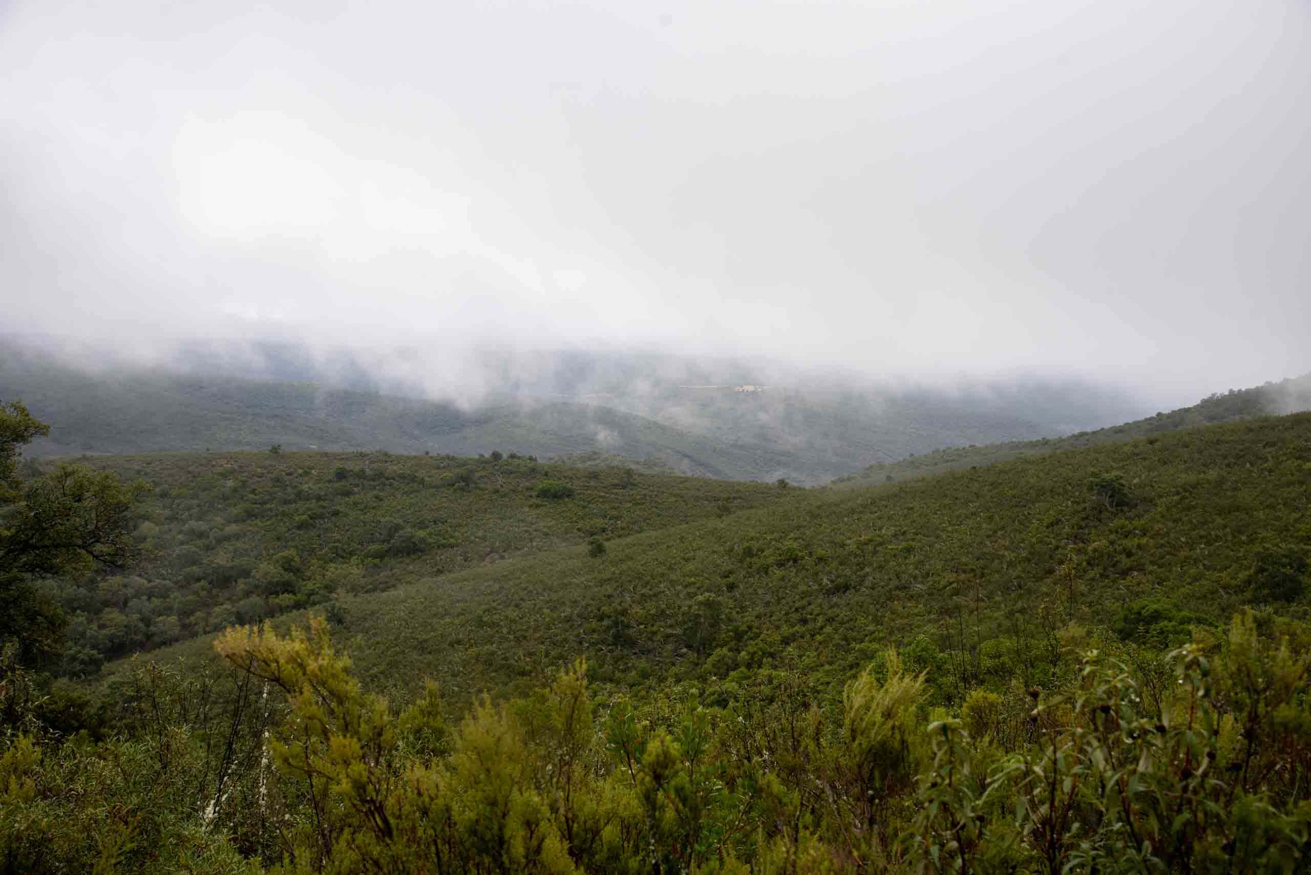 Comienzo de la ruta gargantilla horizonte con niebla