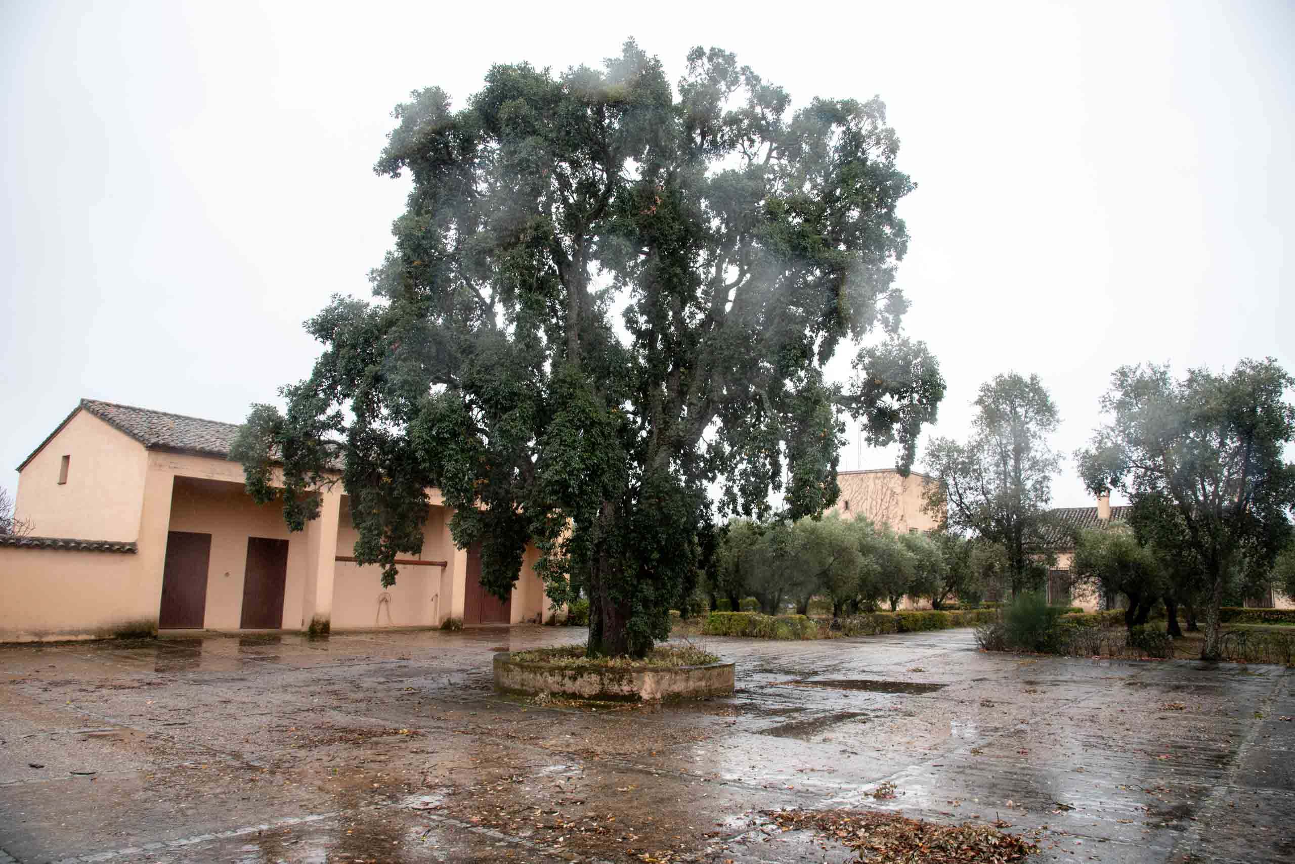 Casa Gargantilla