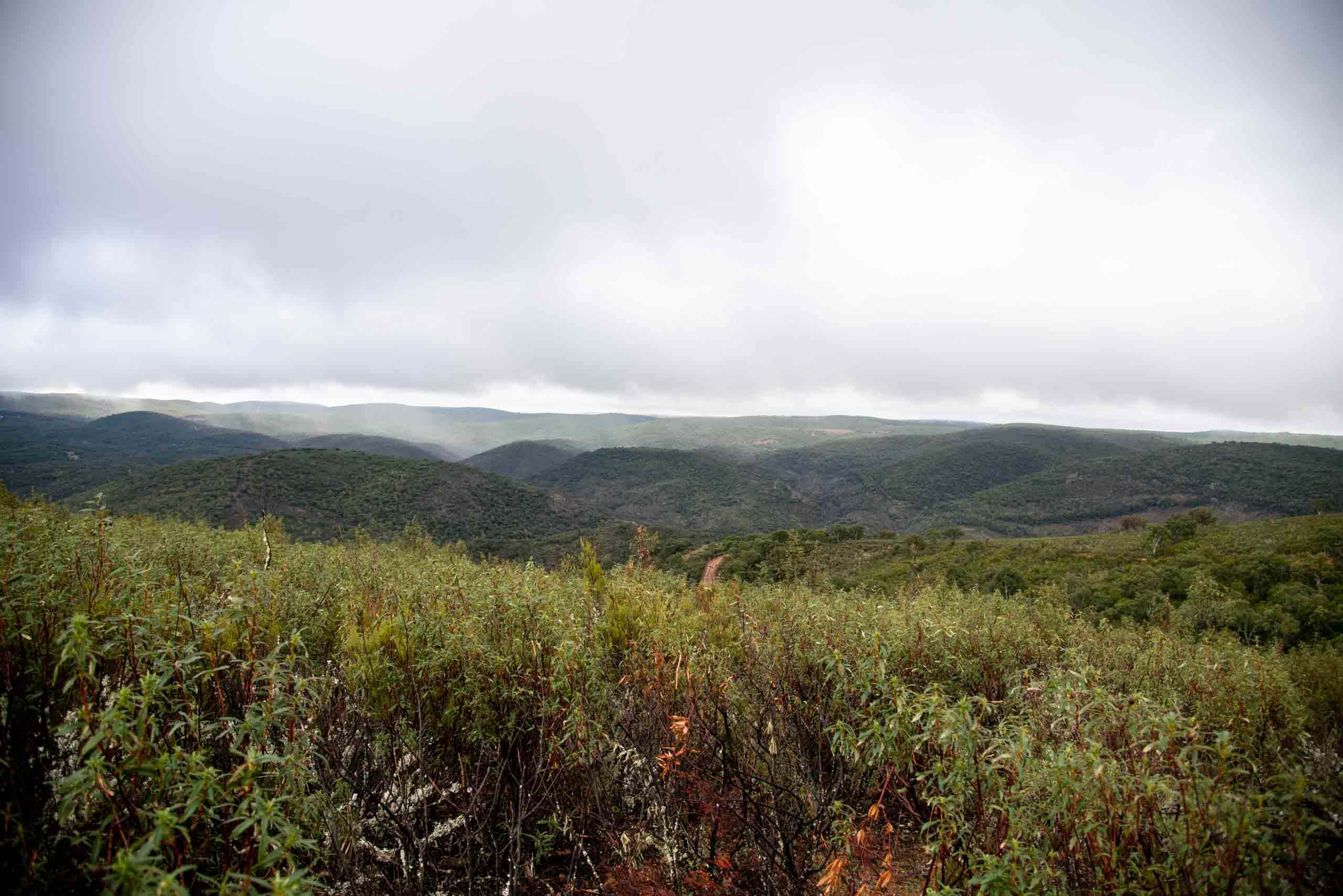 ruta de Gargantilla