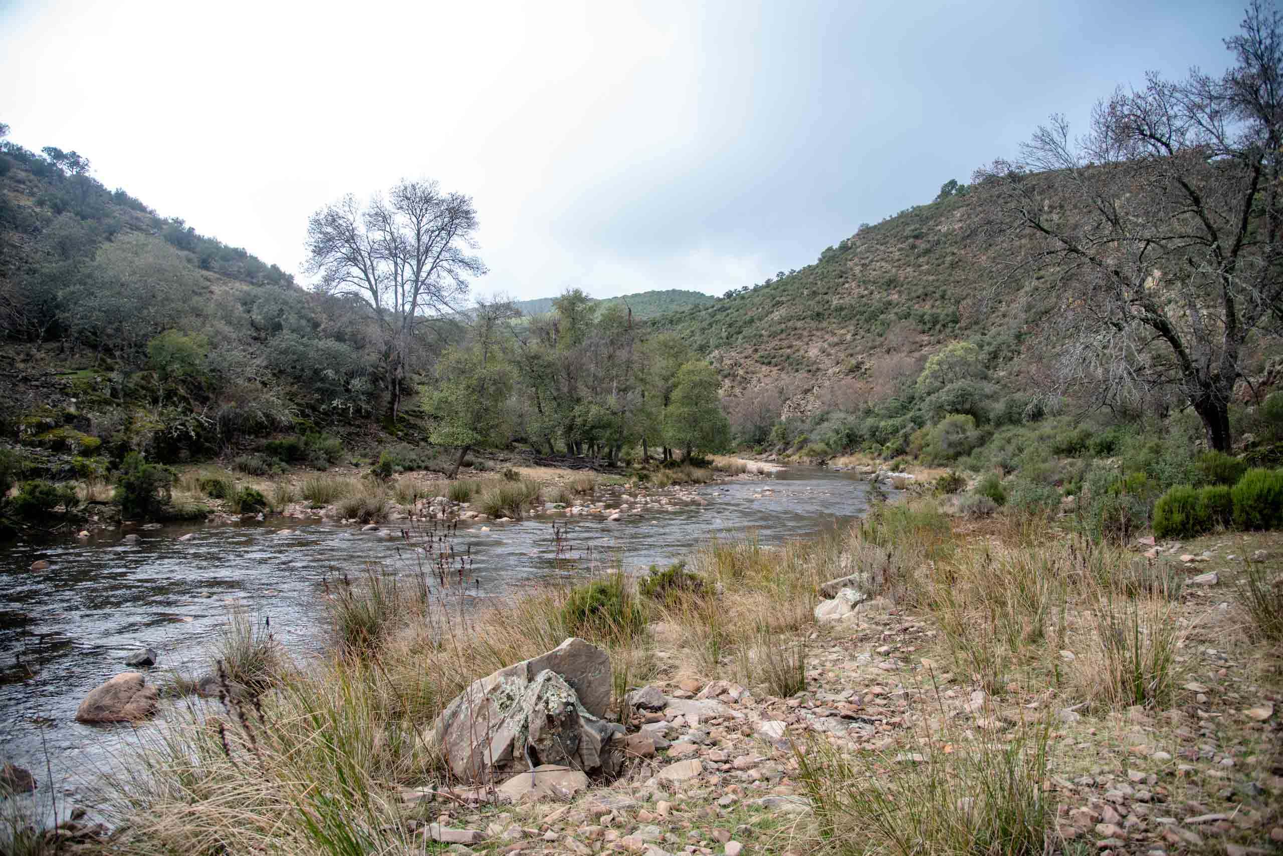 Río Estena en ruta Gargantilla