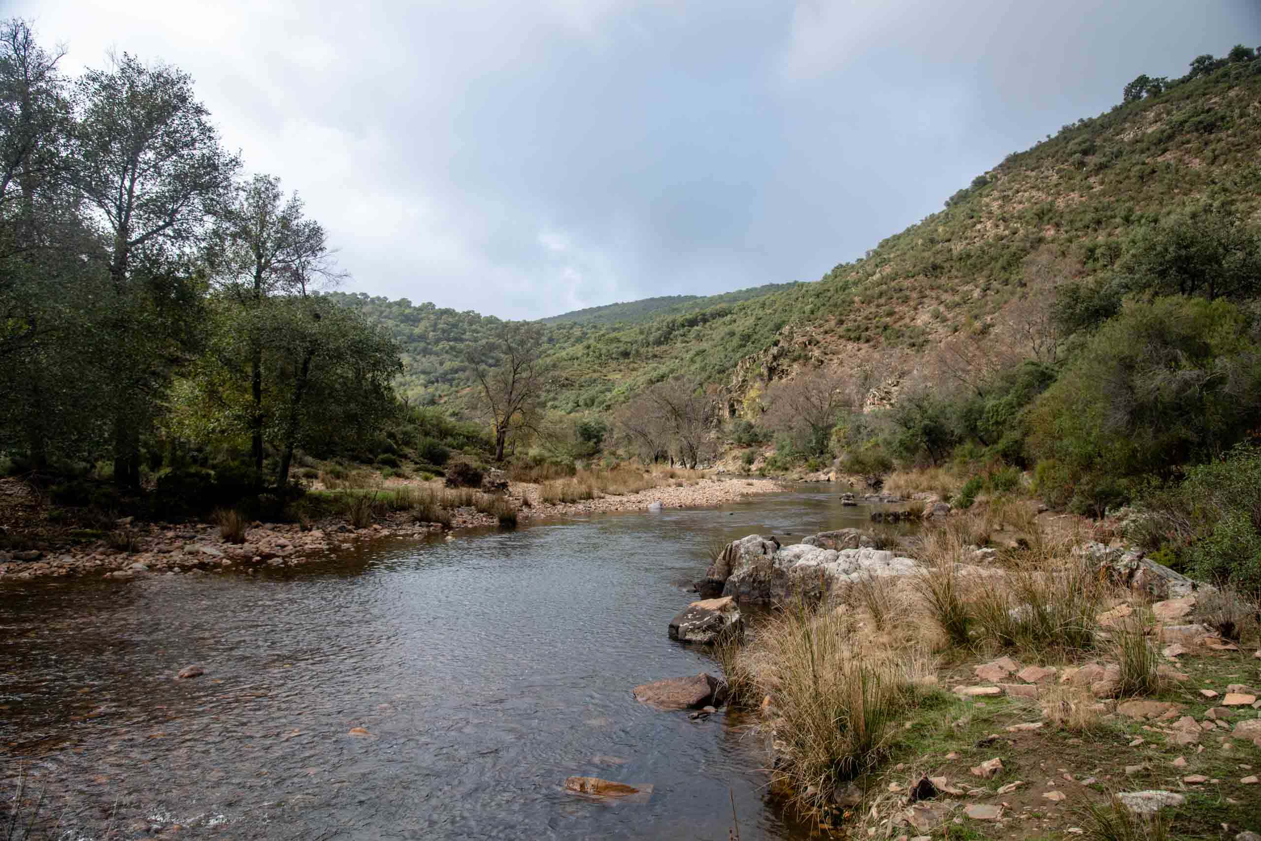Río Estena en ruta de Gargantilla