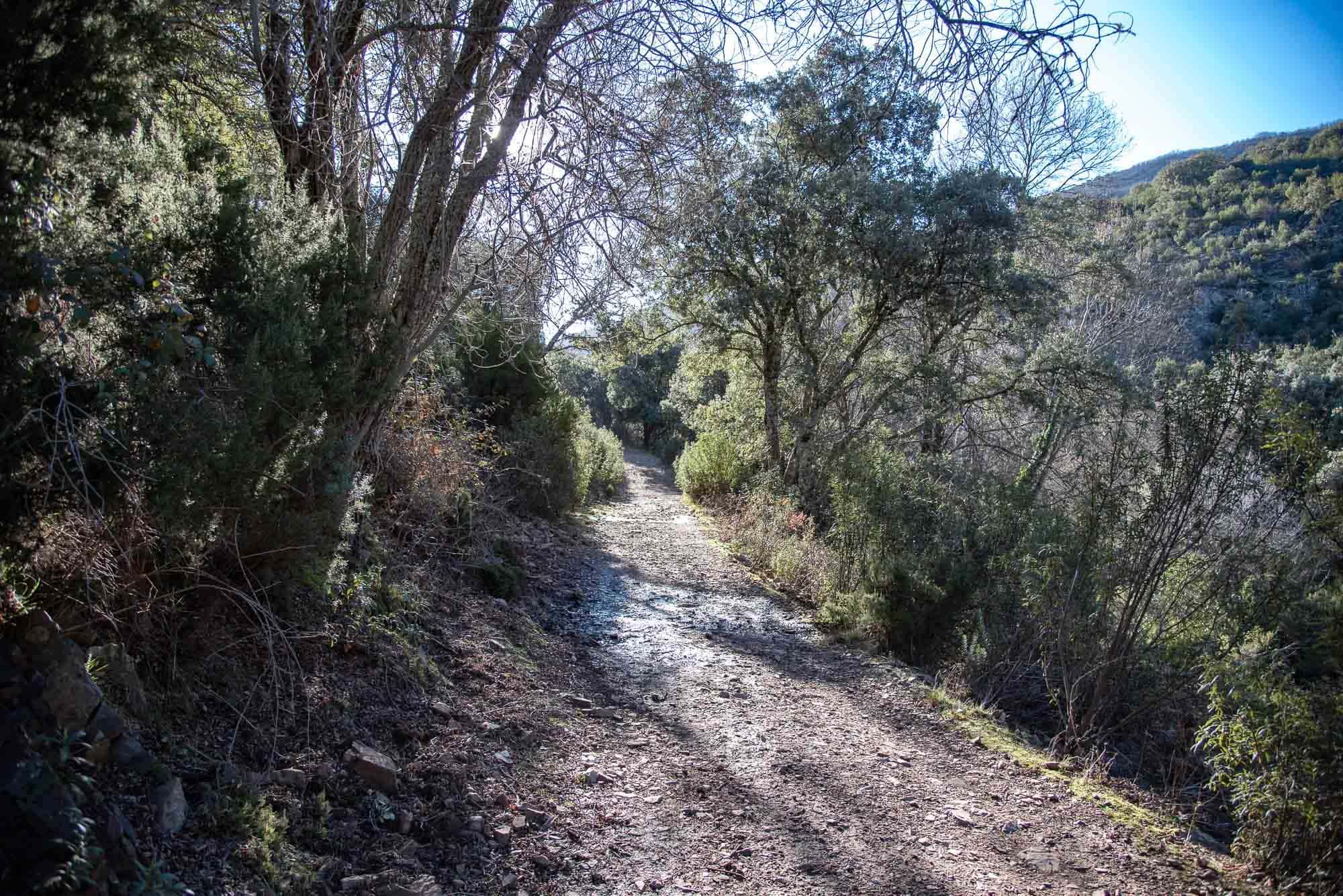 Los primeros 3 km de la ruta transcurren por esta Pista forestal.