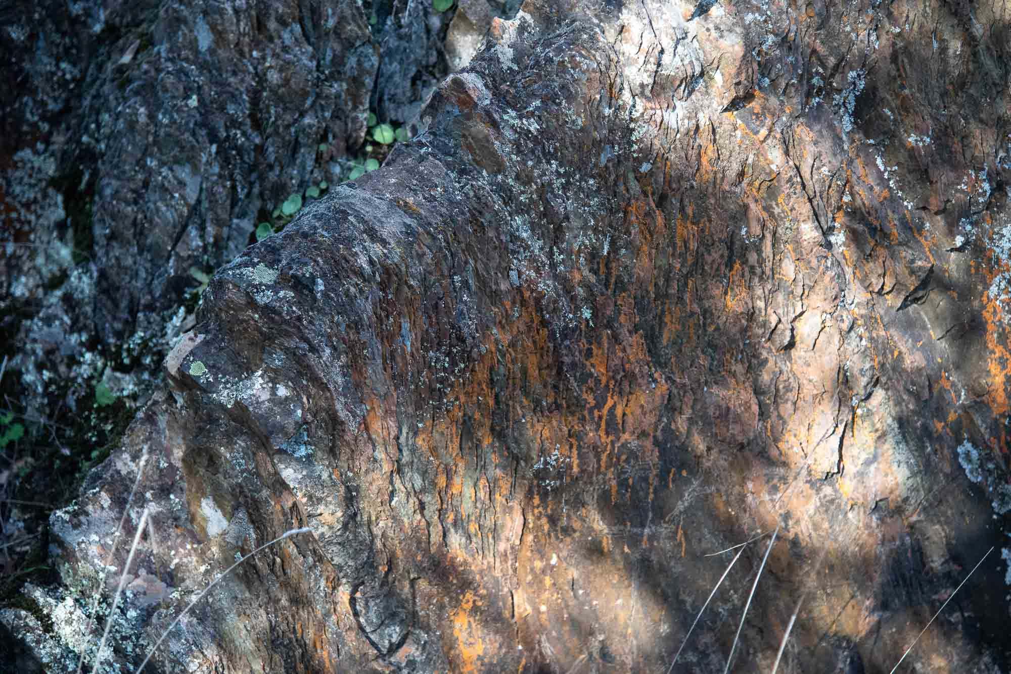 Pizarras del Pusa en la Chorrera