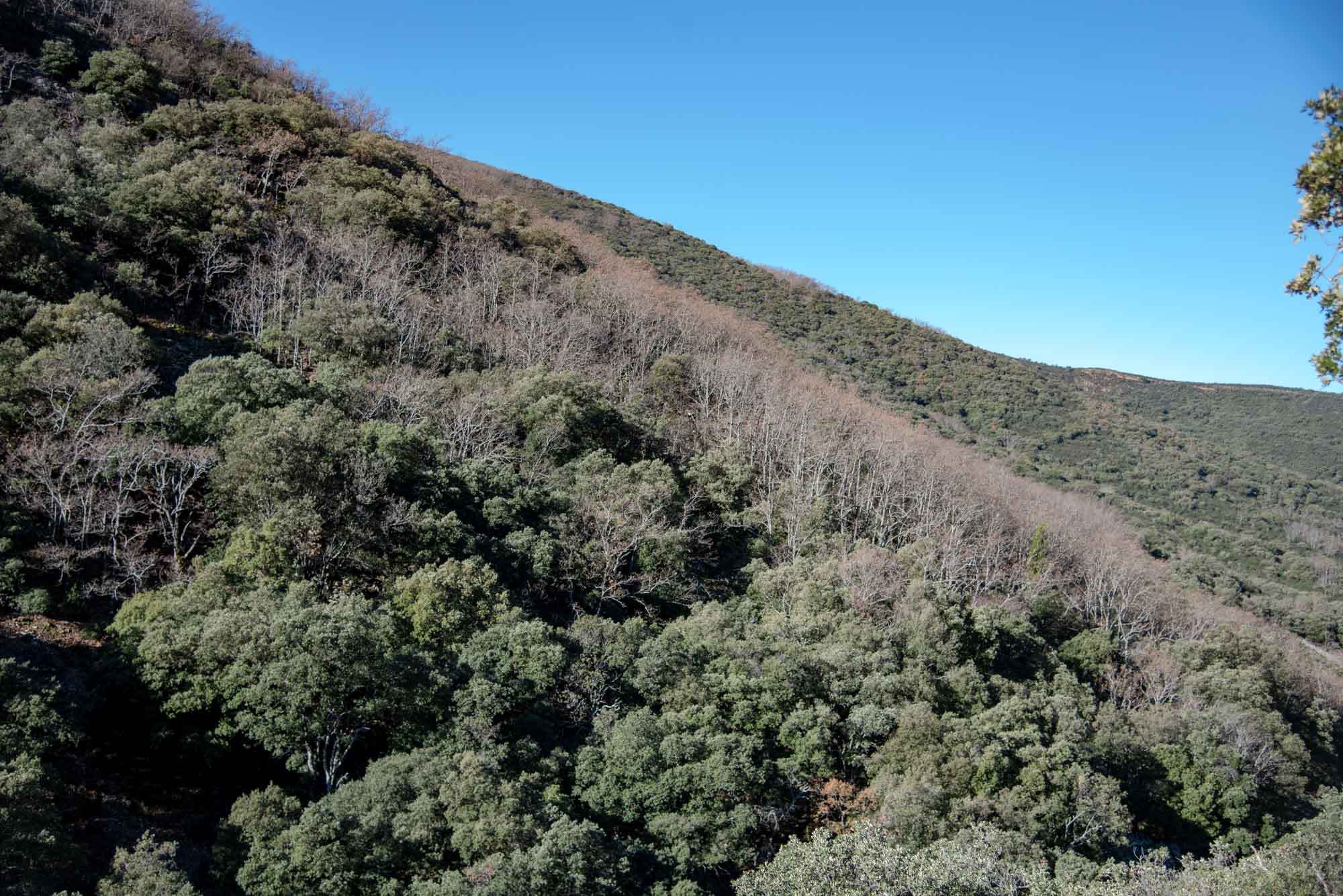 Rebollar Chorro Navalucillos