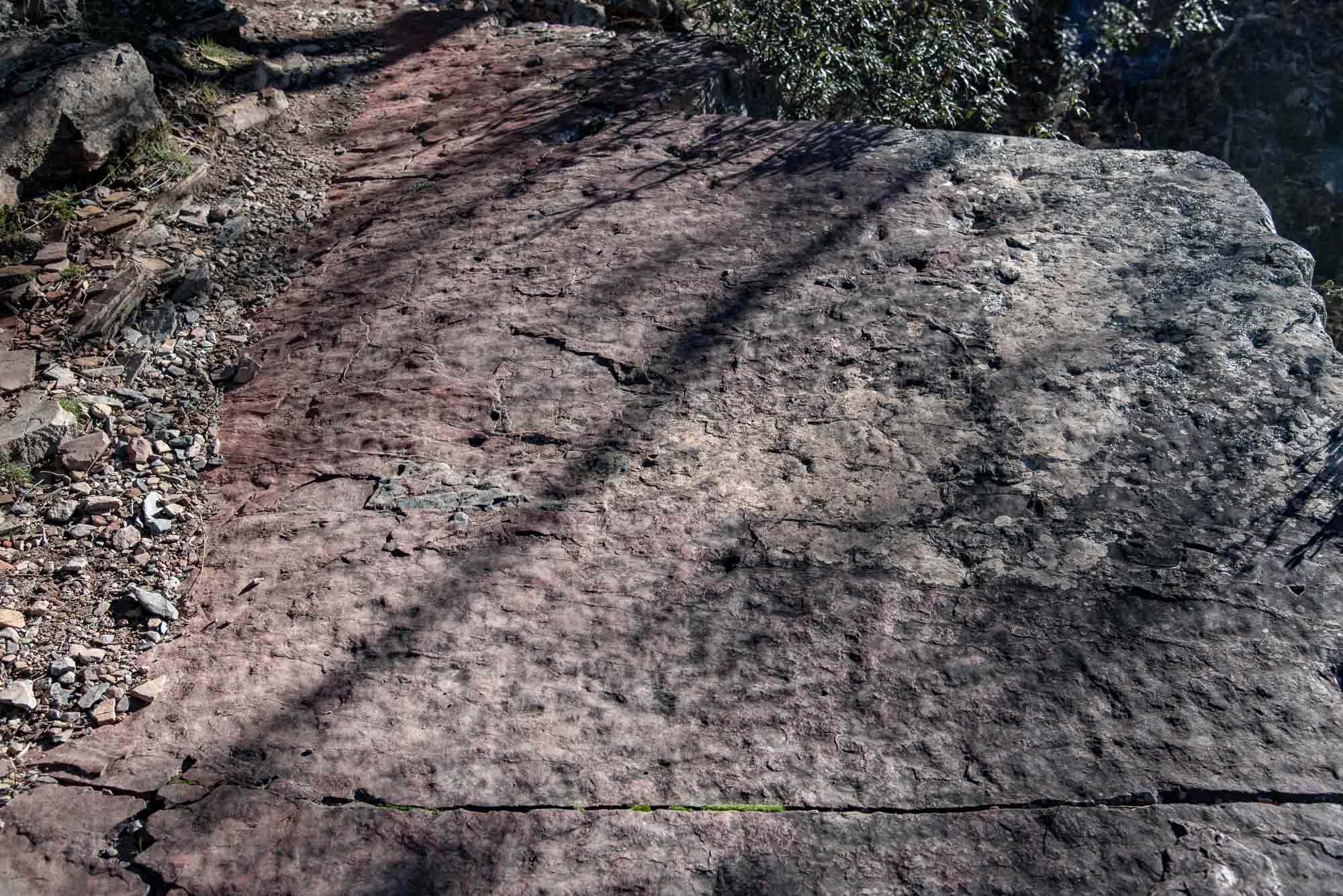 Rizaduras ripple marks nacalucillos