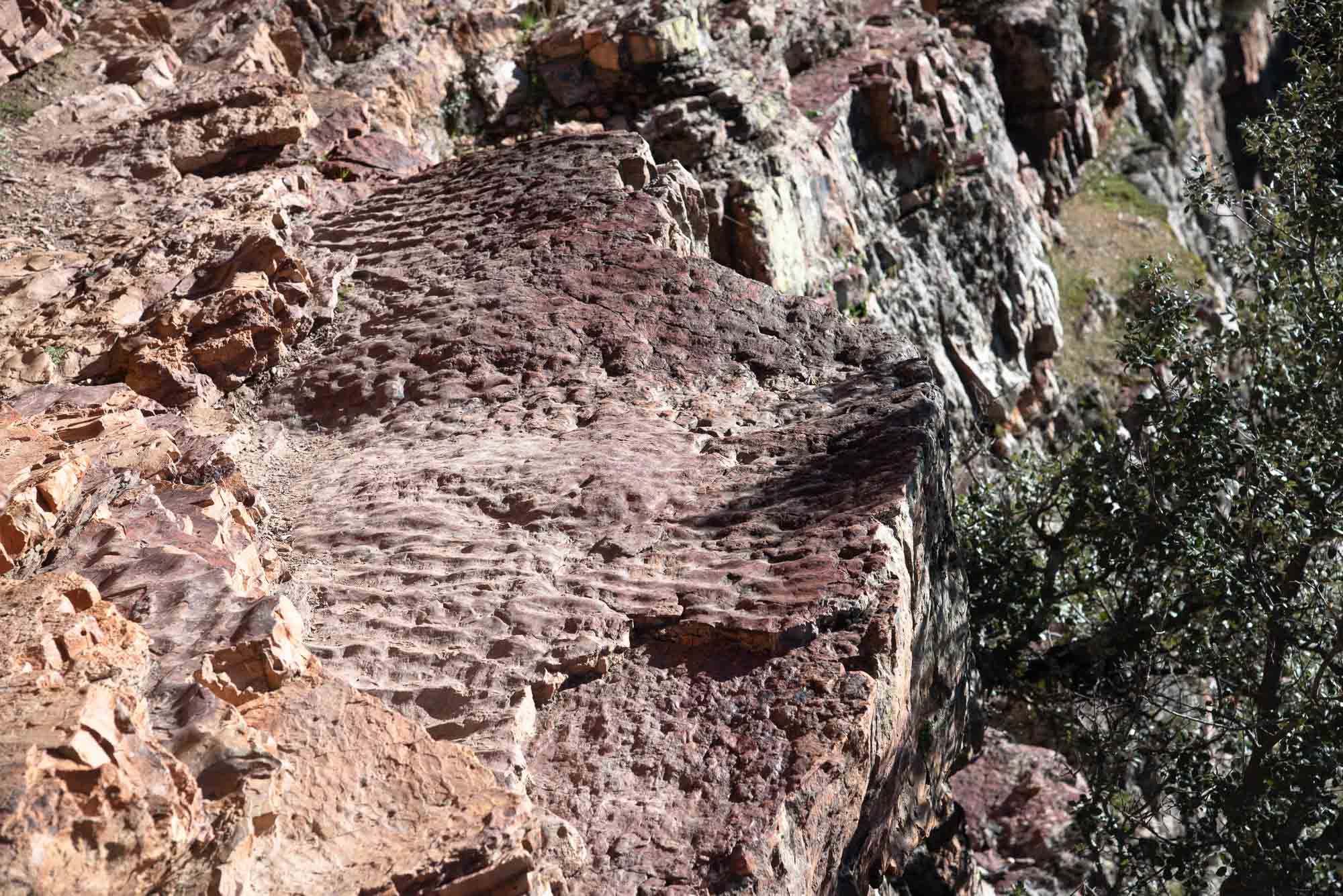 Rizaduras ripple marks nacalucillos