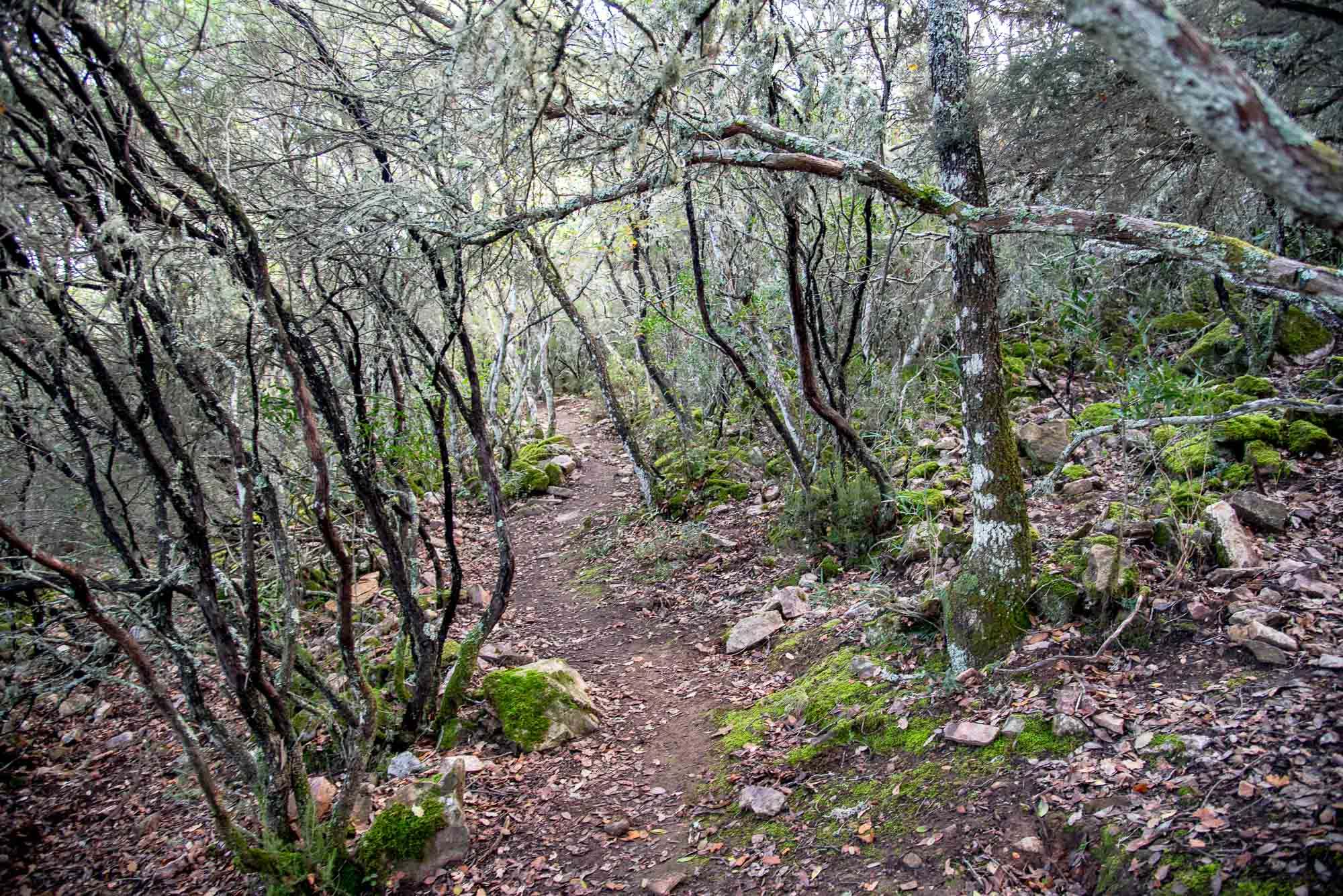 Sendero plaza de los moros