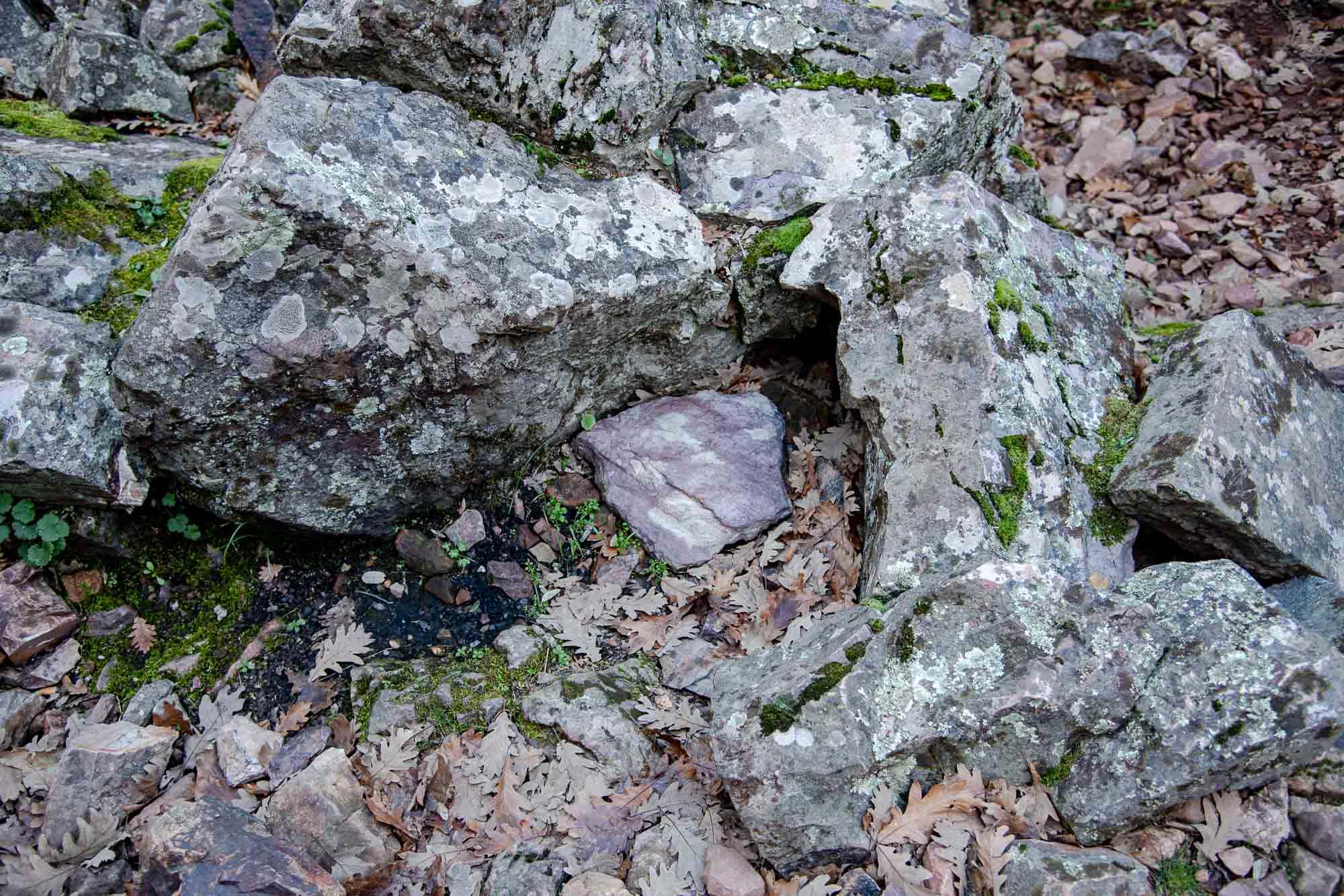 Hoguera de sestil