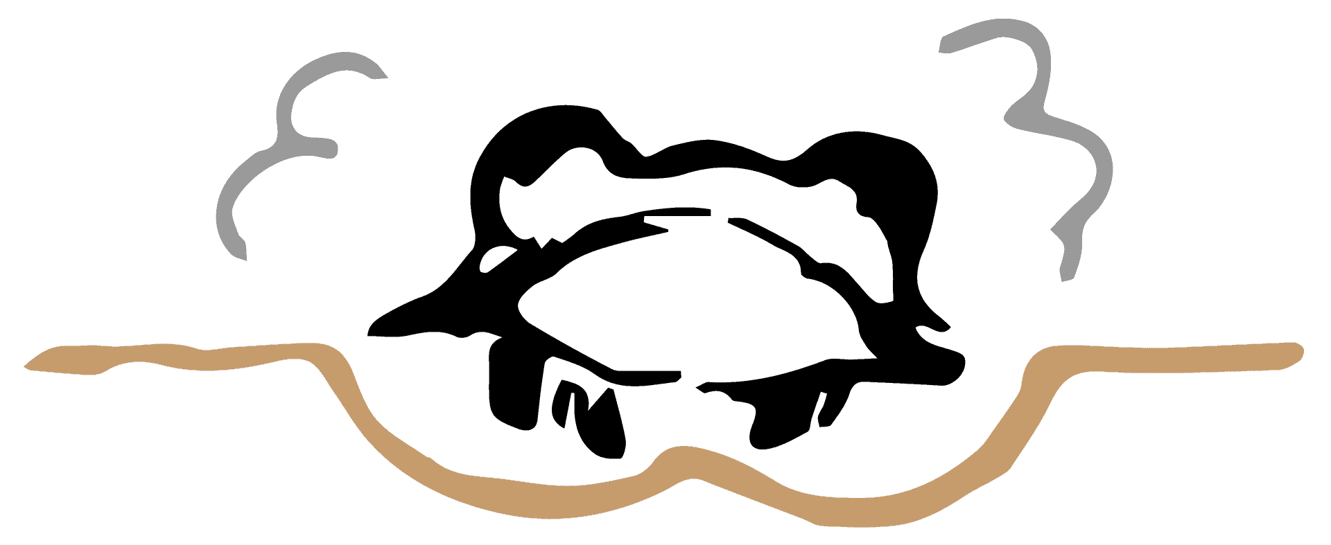 Ilustración frontal de la formación de la cruziana por el trilobites