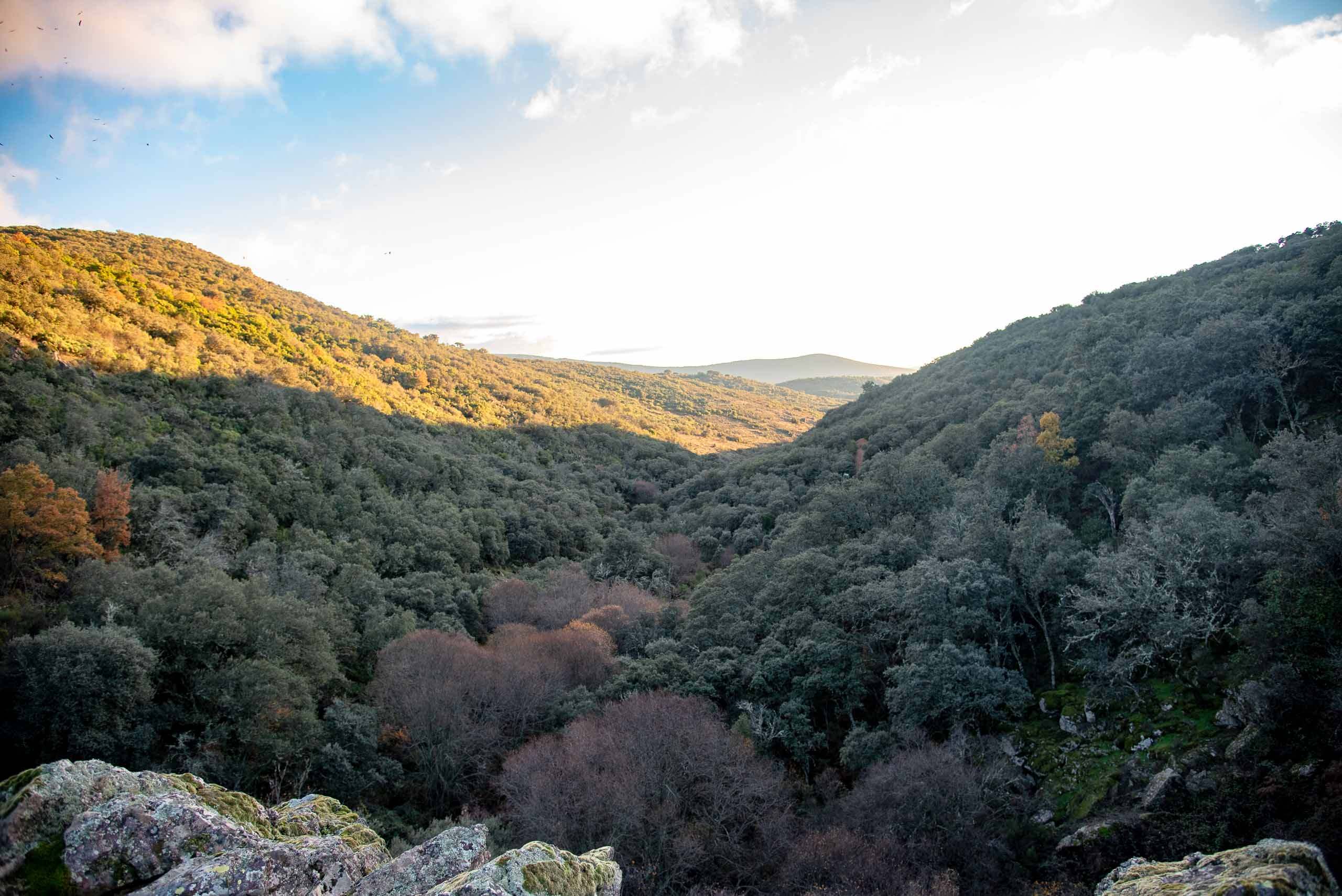 Panorámica del entorno de la Chorrera.